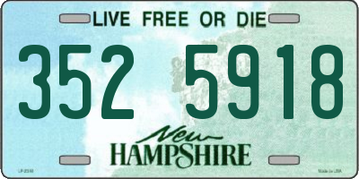 NH license plate 3525918