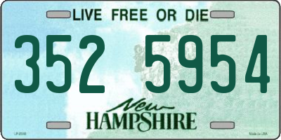 NH license plate 3525954