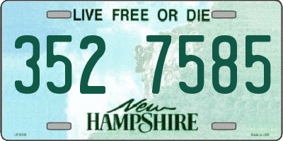 NH license plate 3527585