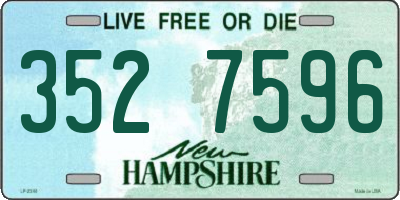 NH license plate 3527596