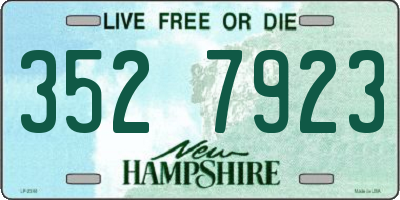 NH license plate 3527923