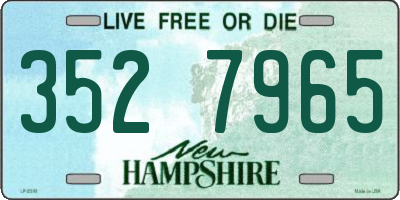 NH license plate 3527965