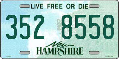 NH license plate 3528558