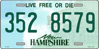 NH license plate 3528579