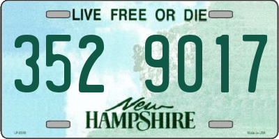 NH license plate 3529017