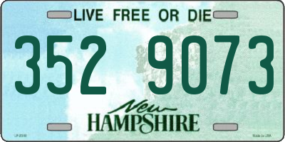 NH license plate 3529073