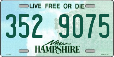 NH license plate 3529075