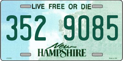 NH license plate 3529085