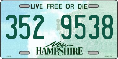 NH license plate 3529538