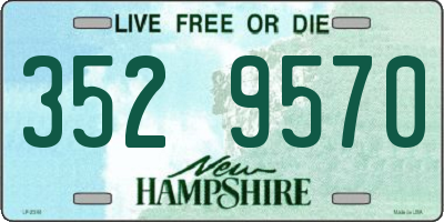 NH license plate 3529570