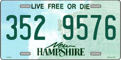 NH license plate 3529576