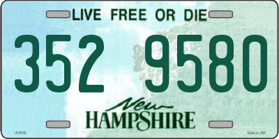NH license plate 3529580
