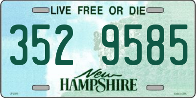 NH license plate 3529585