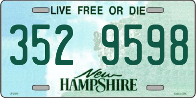 NH license plate 3529598
