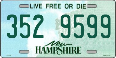 NH license plate 3529599