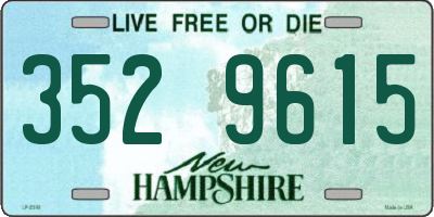 NH license plate 3529615