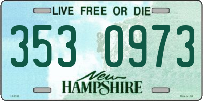 NH license plate 3530973