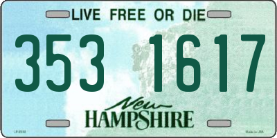 NH license plate 3531617