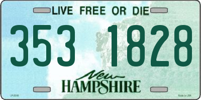 NH license plate 3531828