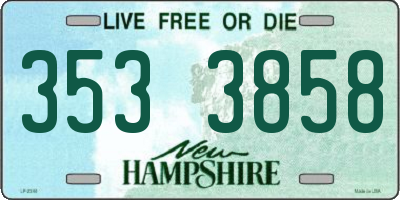 NH license plate 3533858