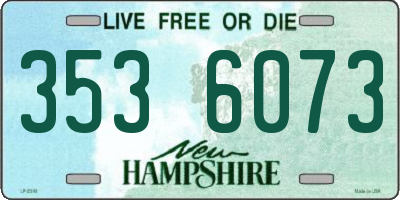 NH license plate 3536073