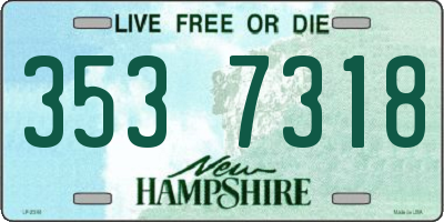 NH license plate 3537318