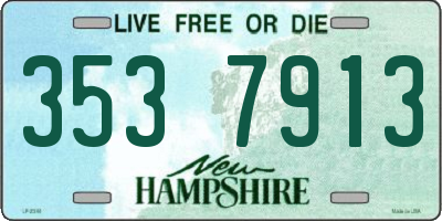 NH license plate 3537913