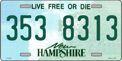 NH license plate 3538313