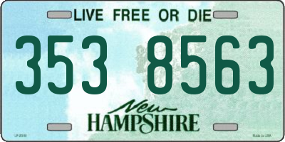 NH license plate 3538563