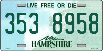 NH license plate 3538958