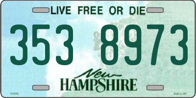 NH license plate 3538973
