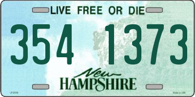 NH license plate 3541373