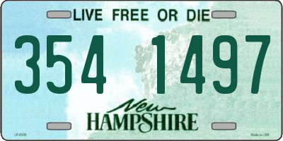 NH license plate 3541497