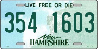 NH license plate 3541603