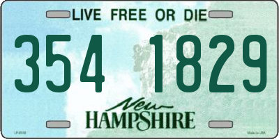NH license plate 3541829