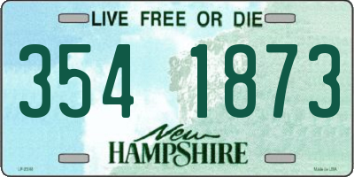 NH license plate 3541873
