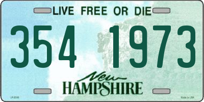 NH license plate 3541973