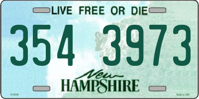 NH license plate 3543973