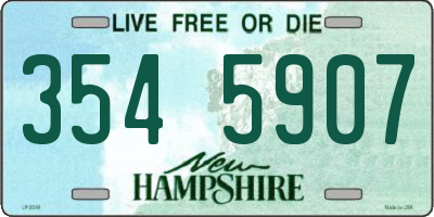 NH license plate 3545907