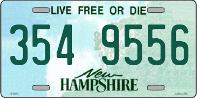 NH license plate 3549556