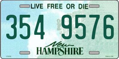 NH license plate 3549576