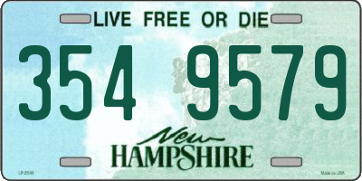 NH license plate 3549579