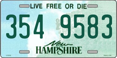 NH license plate 3549583