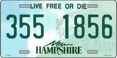 NH license plate 3551856