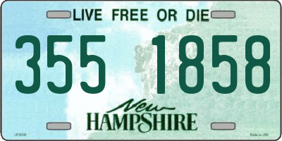 NH license plate 3551858