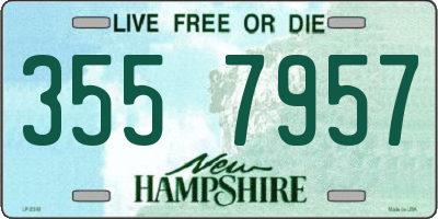 NH license plate 3557957