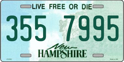 NH license plate 3557995