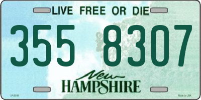 NH license plate 3558307