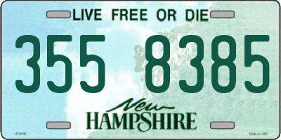 NH license plate 3558385