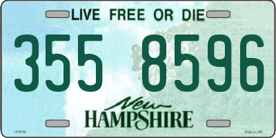 NH license plate 3558596